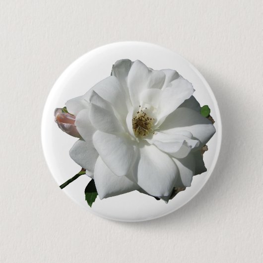 White Roses Party Dusche Hochzeitsblüten Schicksal Button (Vorderseite)