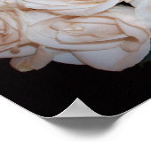 White Roses Poster (Ecke)