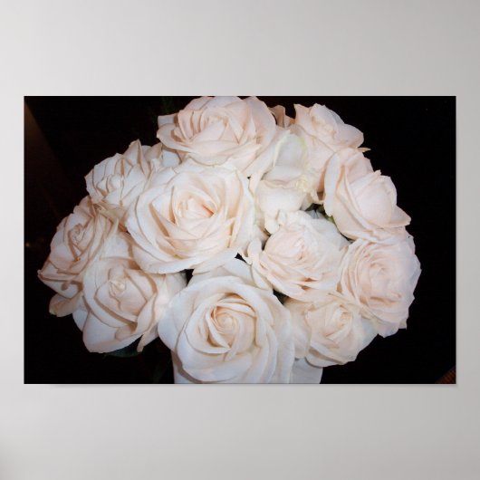 White Roses Poster (Vorne)