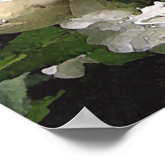 White Roses Poster (Ecke)