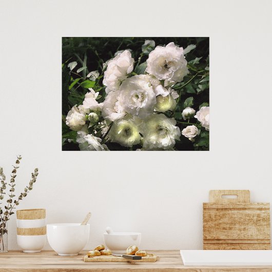 White Roses Poster (Küche)