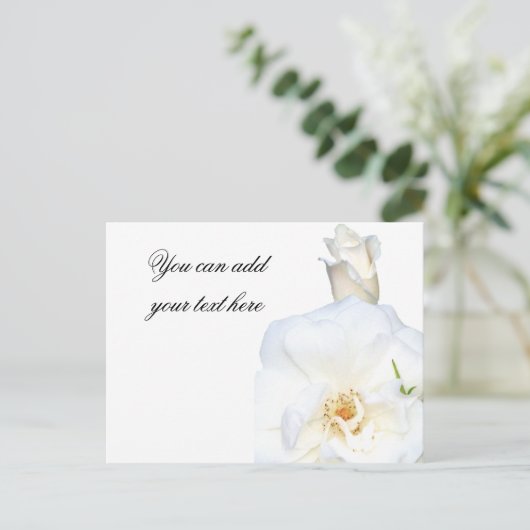 White Roses_ Postkarte (Stehend Vorderseite)