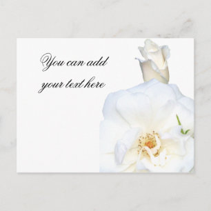 White Roses_ Postkarte
