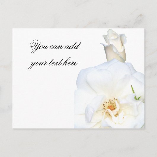 White Roses_ Postkarte (Vorderseite)