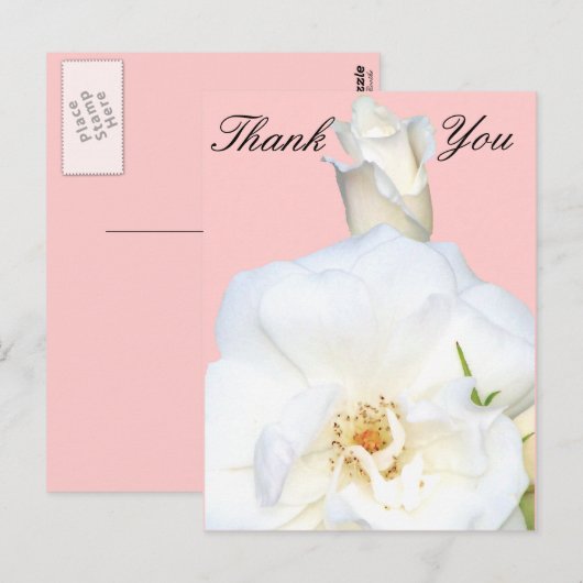 White Roses_ Postkarte (Vorne/Hinten)