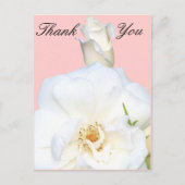 White Roses_ Postkarte (Vorderseite)