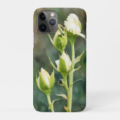 White Roses Rose Buds Art Phone Case (Rückseite)