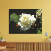 White Roses Wild Blume Foto Print Leinwanddruck (Insitu (Wohnzimmer))