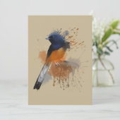 White Rumped Shama Bird Einladung (Stehend Vorderseite)