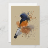 White Rumped Shama Bird Einladung (Vorne/Hinten)