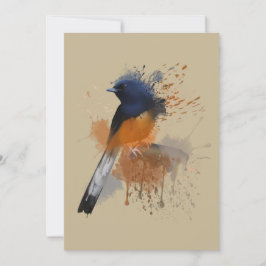 White Rumped Shama Bird Einladung