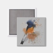 White Rumped Shama Bird Magnet (Vorderseite/Rückseite)