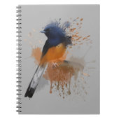 White Rumped Shama Bird Notizblock (Vorderseite)