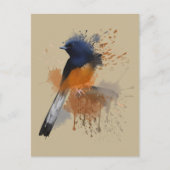 White Rumped Shama Bird Postkarte (Vorderseite)
