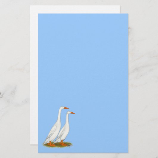 White Runner Ducks Briefpapier (Vorne/Hinten)