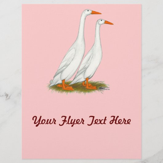 White Runner Ducks Flyer (Vorne)