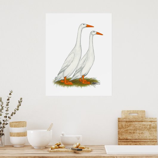 White Runner Ducks Poster (Küche)