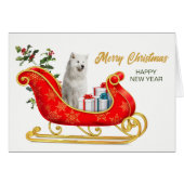 White Samoyed Dog Christmas Sleigh Card (Vorderseite (Horizontal))