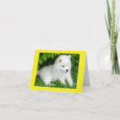 White Samoyed Puppy Blank Note Card Karte (Vorderseite)