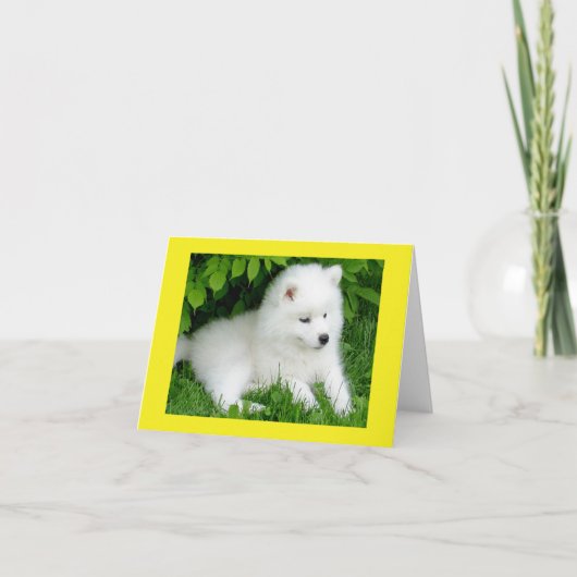White Samoyed Puppy Blank Note Card Karte (Vorderseite)