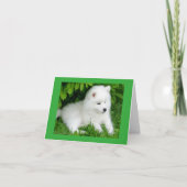 White Samoyed Puppy Blank Note Card Karte (Vorderseite)