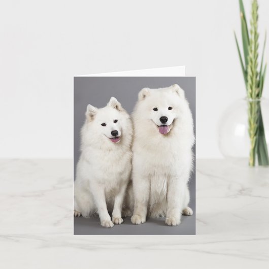 White Samoyed Puppy Dog - Hallo, denken Sie an Sie Karte (Vorderseite)