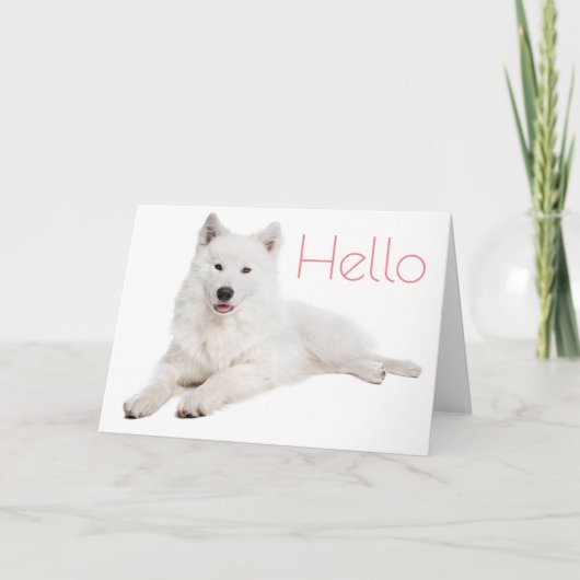 White Samoyed Puppy Dog - Hallo, denken Sie an Sie Karte (Vorderseite)