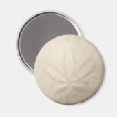White Sand Dollar Magnet (Vorderseite/Rückseite)
