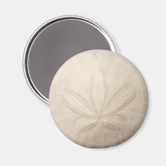 White Sand Dollar Magnet (Vorderseite/Rückseite)
