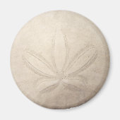 White Sand Dollar Magnet (Vorne)