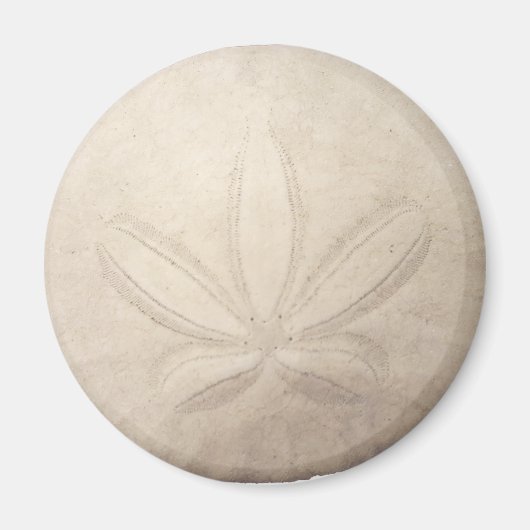 White Sand Dollar Magnet (Vorne)