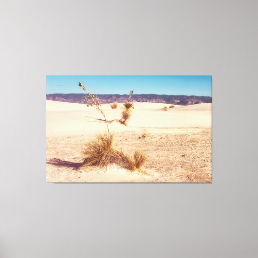 White Sand Yuccas Leinwanddruck (Vorderseite)