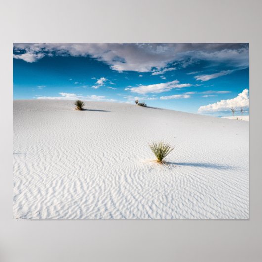 White Sands Blue Sky Yucca, New Mexico Poster (Vorne)
