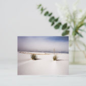 White Sands Morning Postcard Postkarte (Stehend Vorderseite)