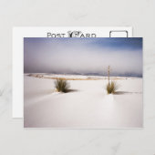 White Sands Morning Postcard Postkarte (Vorne/Hinten)