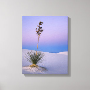 WHITE SANDS NATIONAL MONUMENT, NEW MEXICO. LEINWANDDRUCK