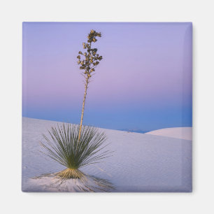 WHITE SANDS NATIONAL MONUMENT, NEW MEXICO. MAGNET