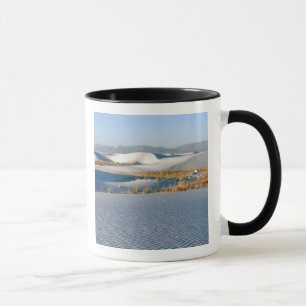 White Sands National Monument, Transversaldünen Tasse