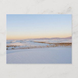 White Sands National Monument, Transverse Dünen Postkarte