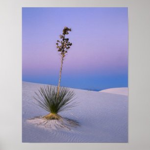 WHITE SANDS NATIONALMONUMENT, NEW MEXICO. POSTER