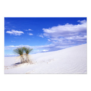 White Sands NM, New Mexico, USA Fotodruck