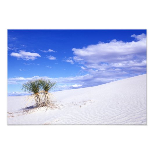 White Sands NM, New Mexico, USA Fotodruck (Vorne)