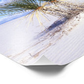 White Sands NM, New Mexico, USA Fotodruck (Ecke)