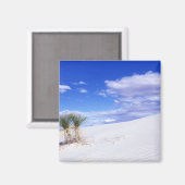 White Sands NM, New Mexico, USA Magnet (Vorderseite/Rückseite)