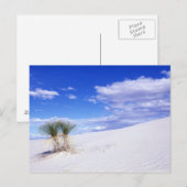 White Sands NM, New Mexico, USA Postkarte (Vorne/Hinten)
