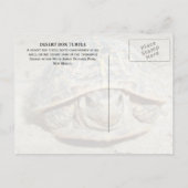 White Sands Wüste Box Schildkröte Postkarte (Rückseite)