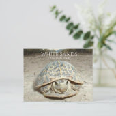 White Sands Wüste Box Schildkröte Postkarte (Stehend Vorderseite)