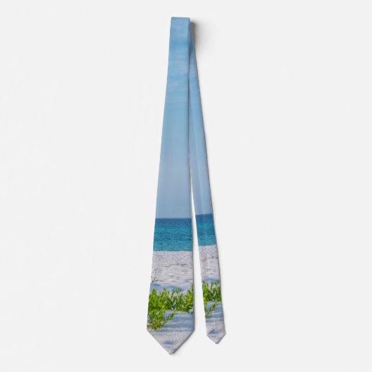 White Sandy Beach Florida Coastline Neck Tie Krawatte (Vorderseite)