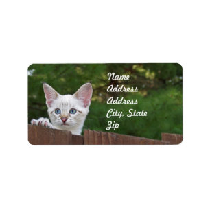 White Savannah Cat Address Sticker Adressaufkleber