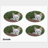 White Savannah Cat Oval Sticker (Blatt)